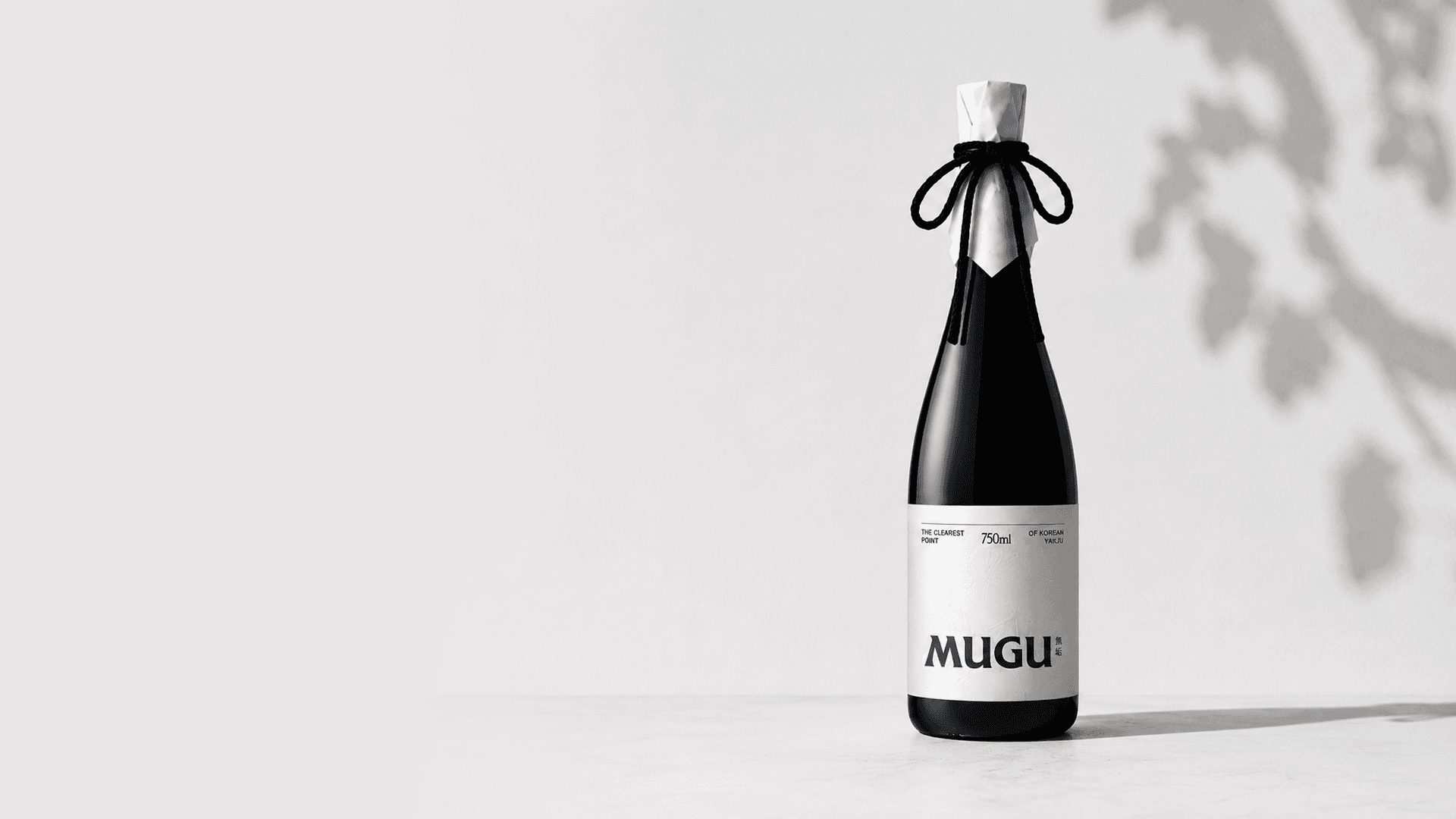 Philosophy Bottle